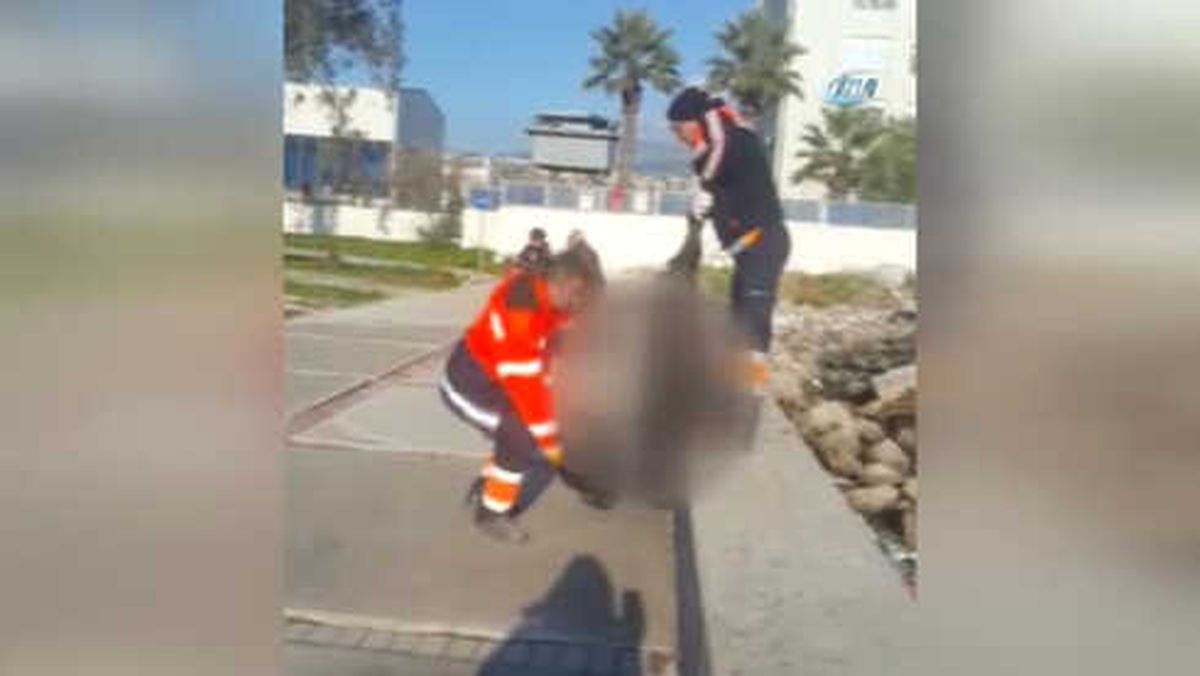 İzmir'deki Sahil Kirliliği Vatandaşı İsyan Ettirdi
