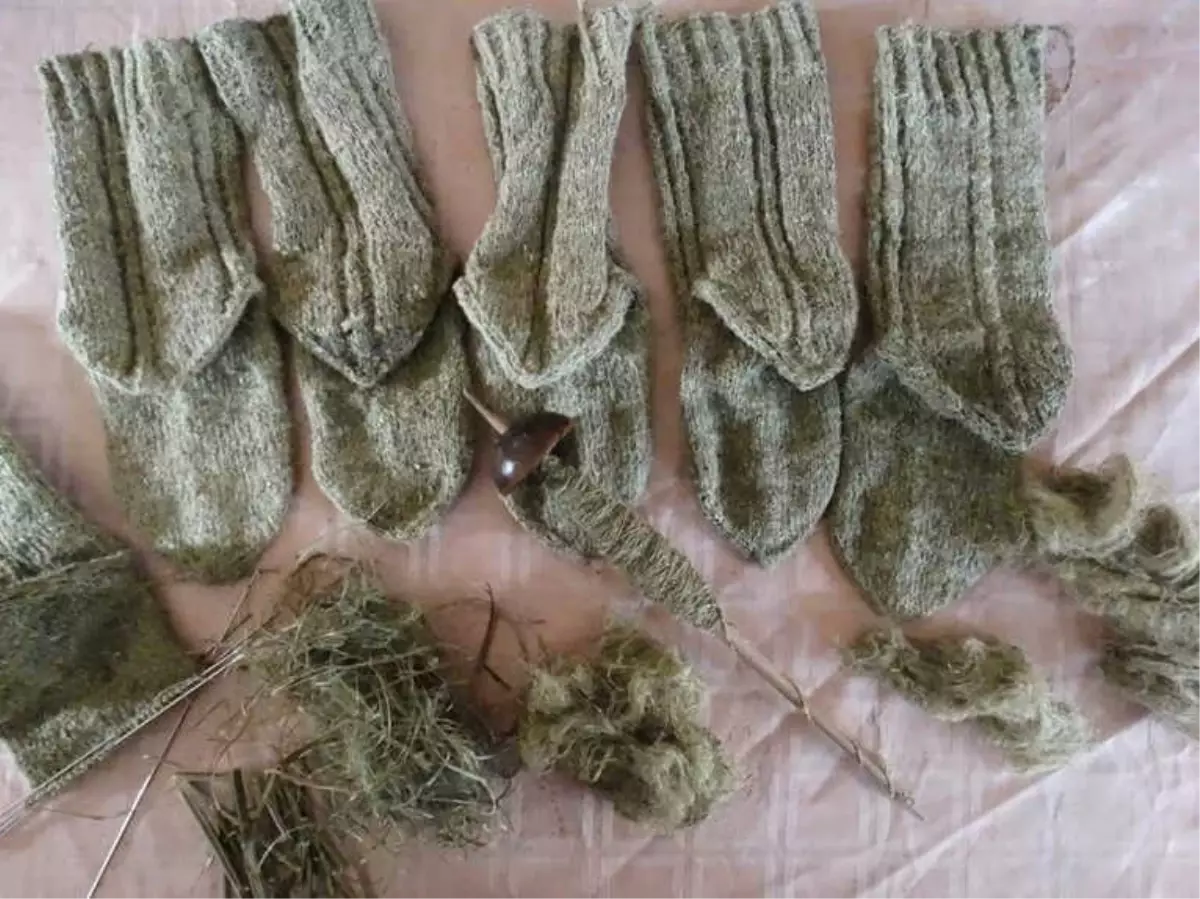 Isırgan Otu Ekonomiye Kazandırılıyor