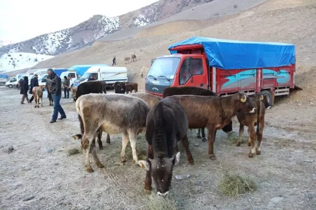 Akşarlılar Kapalı Hayvan Pazarı İstedi Akşarlılar Kapalı Hayvan Pazarı İstedi
