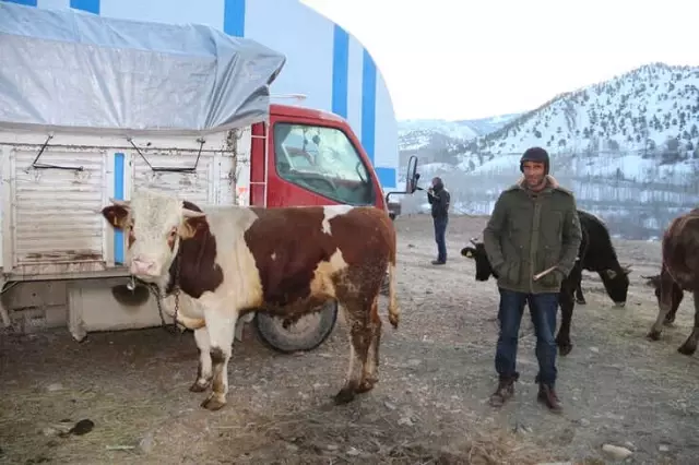 Akşarlılar Kapalı Hayvan Pazarı İstedi Akşarlılar Kapalı Hayvan Pazarı İstedi