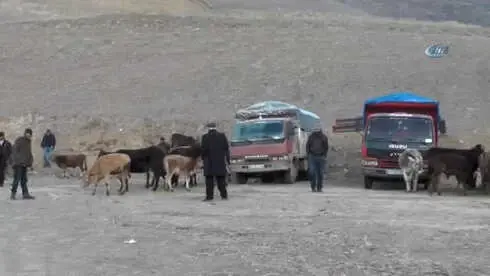 Akşarlılar Kapalı Hayvan Pazarı İstiyor Akşarlılar Kapalı Hayvan Pazarı İstiyor