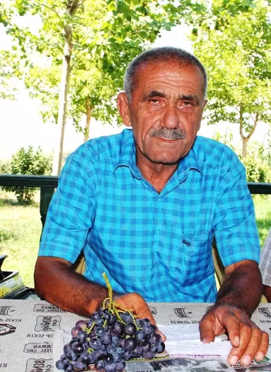 Ziraat Odası Başkanınından Üzüm Hoşafı Çağrısı Ziraat Odası Başkanınından Üzüm Hoşafı Çağrısı