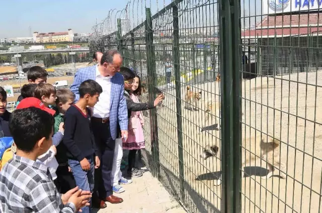 Bağcılar'da 268 Sokak Hayvanı Sahiplendirildi