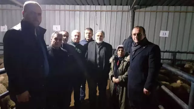 Biga'da Genç Çiftçilere Koyun Dağıtıldı