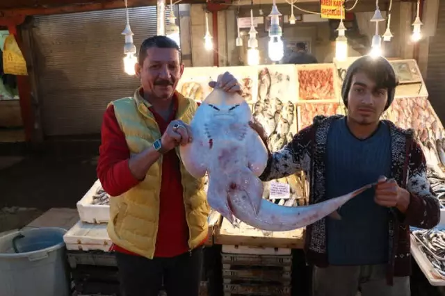 Bu Balığı Görenler Şaşırıp Kalıyor