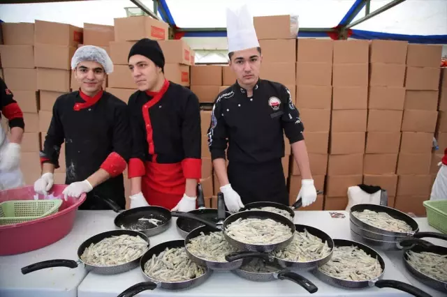 Manisa'da 5 Ton Hamsi Dağıtıldı