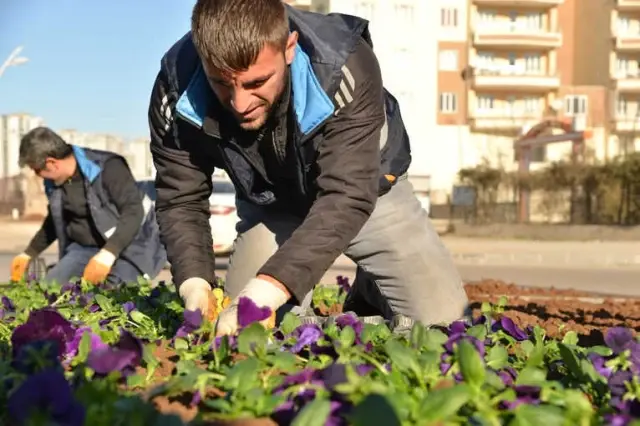 Bağcılar'da Çiçek Dikim Çalışmaları Devam Ediyor