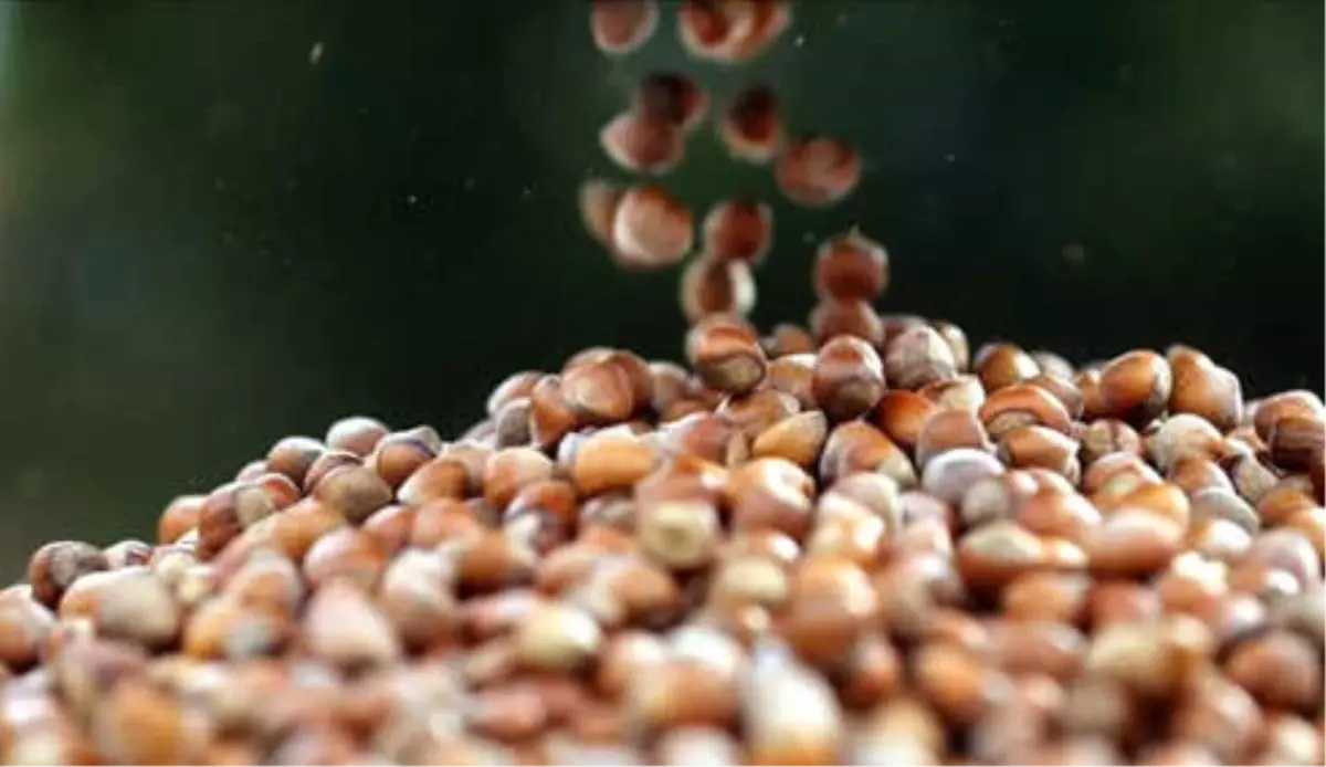 TMO Elindeki Ürünü Piyasaya Sürmemeli'