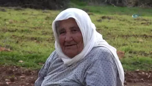Beşiz Doğuran Sarı Kız ve Bir Oğlağı Doğumdan Sonra Telef Oldu Beşiz Doğuran Sarı Kız ve Bir Oğlağı Doğumdan Sonra Telef Oldu