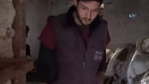 Beşiz Doğuran Sarı Kız ve Bir Oğlağı Doğumdan Sonra Telef Oldu Beşiz Doğuran Sarı Kız ve Bir Oğlağı Doğumdan Sonra Telef Oldu