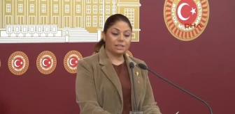 CHP'li Zeynep Altıok Açıklama Yaptı