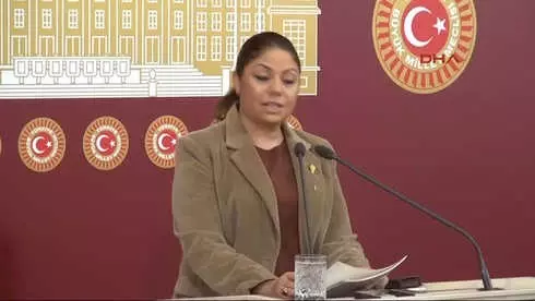 CHP'li Zeynep Altıok Açıklama Yaptı