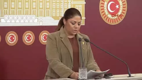 CHP'li Zeynep Altıok Açıklama Yaptı