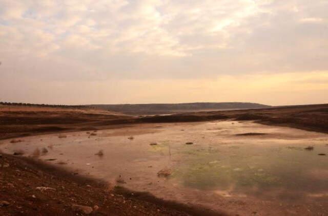 Mevsimler Şaşınca Kuraklık Gölleri Kuruttu! Vatandaşlar Ocak Ayında Piknik Yaptı