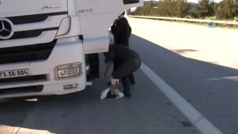 Fuhuş Vaadiyle' Durdurup Dehşet Saçtılar Fuhuş Vaadiyle' Durdurup Dehşet Saçtılar