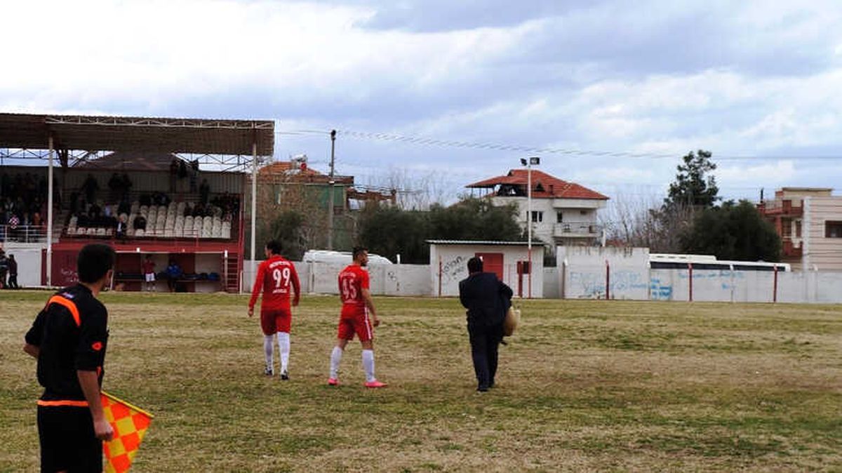 Maça Damgasını Vuran Köpek