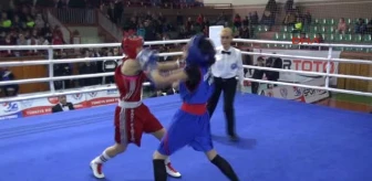 Kadınlar Boks Şampiyonası Nevşehir'de Başladı