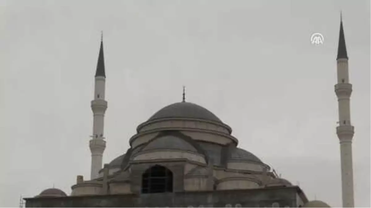 Yabancı Uyruklu Öğrencilerden Zeytin Dalı Harekatı'na Destek