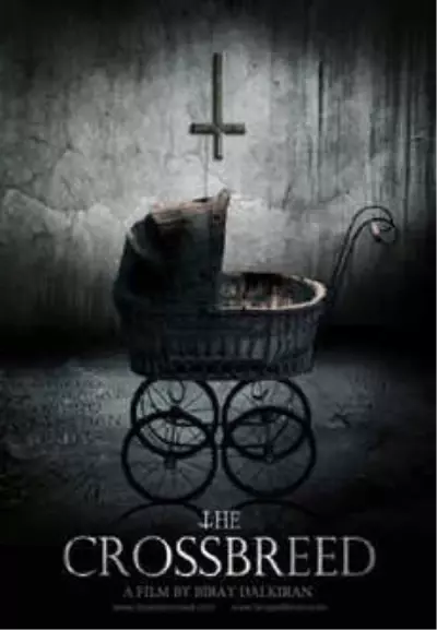 Melez Filmi