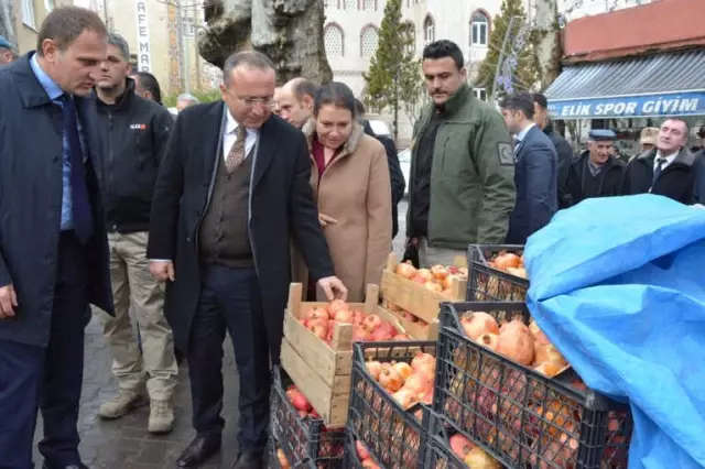 Vali Ali Fuat Atik, Pervari İlçesinde İncelemelerde Bulundu