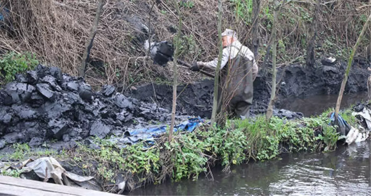 Zonguldak'taki Karadere'de Ürküten Tablo