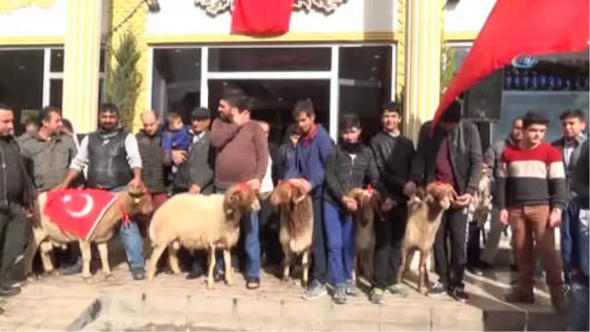 Adaklar 'Mehmetler' İçin Kesildi
