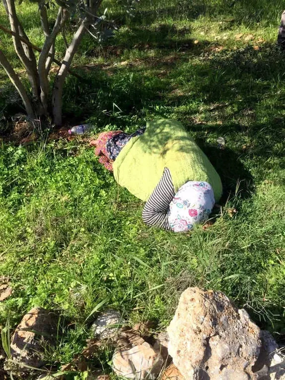 Alzheimer Hastası Yaşlı Kadın Zeytin Bahçesinde Uyurken Bulundu Alzheimer Hastası Yaşlı Kadın Zeytin Bahçesinde Uyurken Bulundu