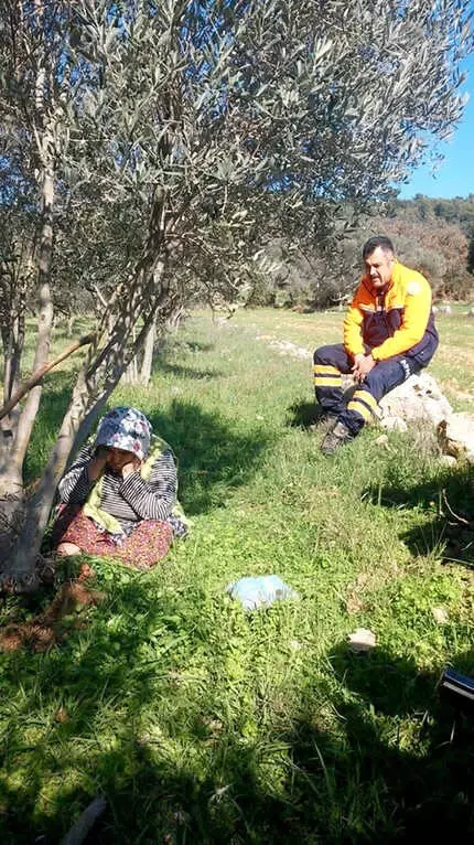 Alzheimer Hastası Yaşlı Kadın Zeytin Bahçesinde Uyurken Bulundu Alzheimer Hastası Yaşlı Kadın Zeytin Bahçesinde Uyurken Bulundu