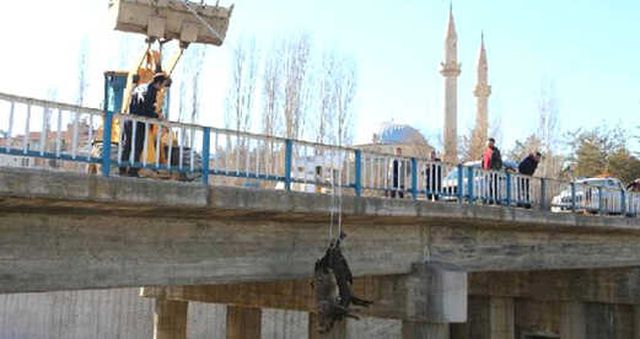 Erzurum'da Telef Olan Koyunları Çaya Atan Besici Gözaltına
