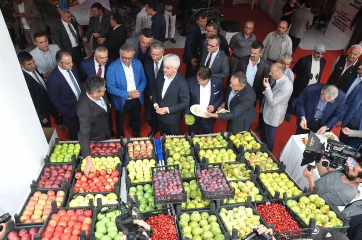 İnegöl Tarımı Mobilya ile Yarışıyor
