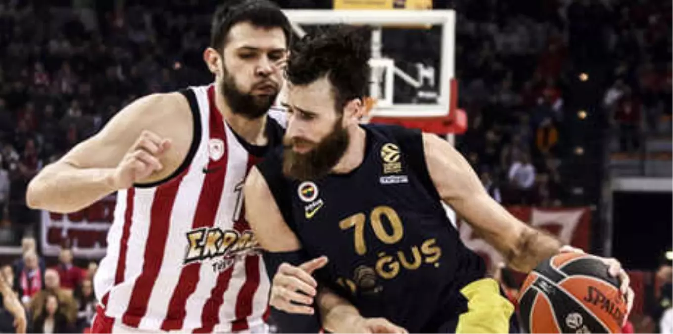 Olympiakos Fenerbahce Dogus Canli Spor