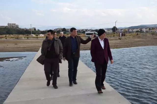 Baski'den Gömeç'te İnceleme