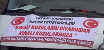Yozgat-Yozgatlı Çobanlardan 'Zeytin Dalı Harekatı'na 41 Kınalı Kurban Hediye Edildi-hd