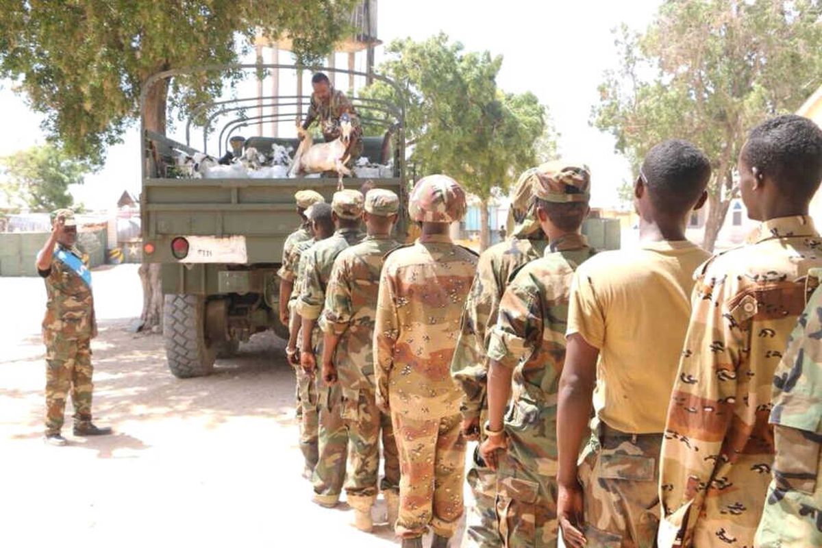 Somali'de Seçim Zaferinin Birinci Yıldönümünde Yardım Dağıtıldı