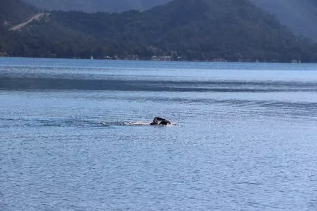Marmaris'te Kış Ortasında Deniz Keyfi