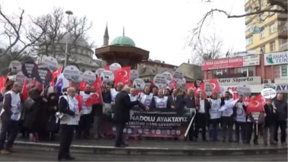 Memur-Sen'den 'Zeytin Dalı'Na Destek