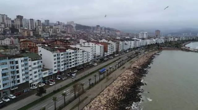 Ordu Tek Renk