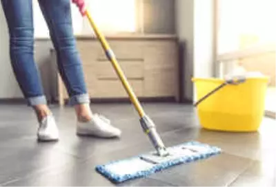 Evinizi Temiz Tutmanızı Sağlayacak Öneriler