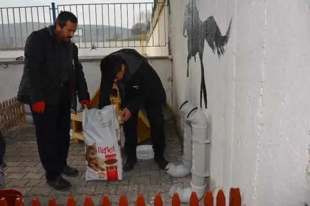 Gaziosmanpaşa Anadolu Lisesi'ne Kedi Evi