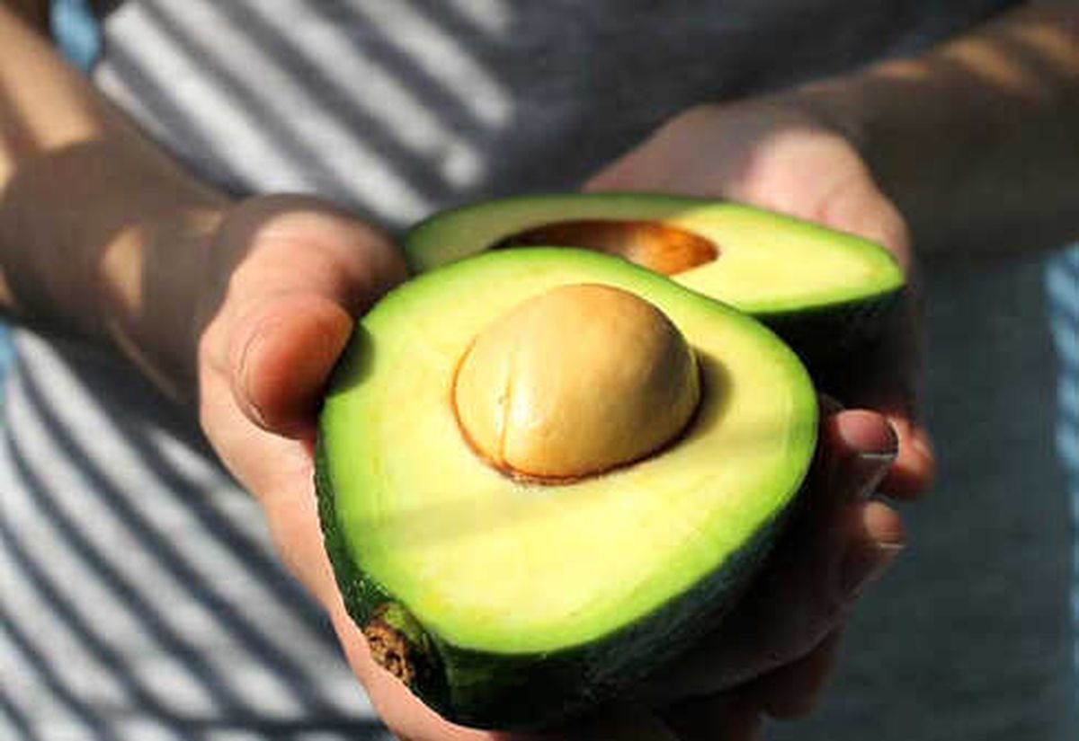 Avokado Nasıl Olgunlaştırılır?