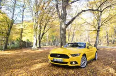 Test Ford Mustang 2.3 Ecoboost Powershift