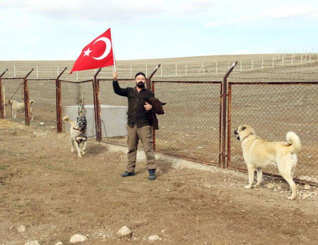 Kangal Köpekleri Zeytin Dalı Harekatı'na Hazır