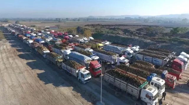 Pancar Kooperatifi Şeker Fabrikasına Talip Pancar Kooperatifi Şeker Fabrikasına Talip