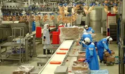 Hazır Gıdaya Talebin Artması İşletmeleri Yeni Yatırımlara Yöneltti
