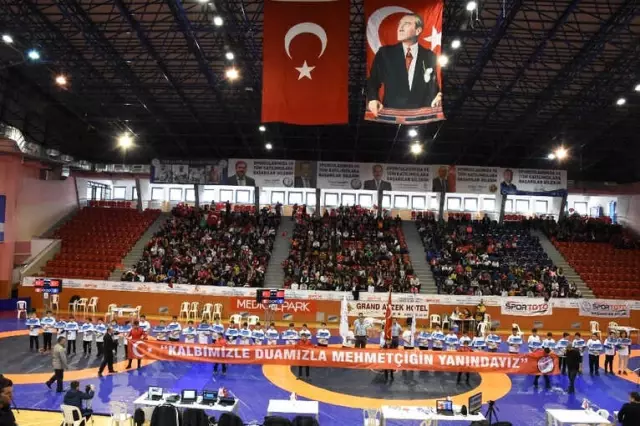 Grekoromen Güreş Şampiyonası