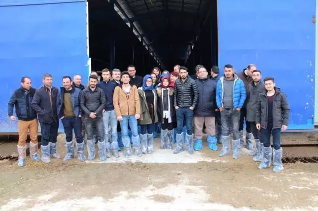Süt Hijyeni ve Buzağı Ölümleri Masaya Yatırıldı Süt Hijyeni ve Buzağı Ölümleri Masaya Yatırıldı