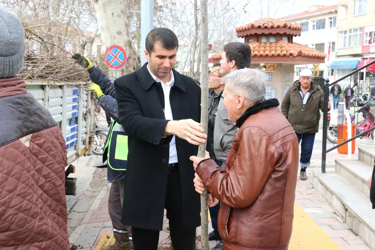 Daha Yeşil Bir BAYRAMİÇ için Başkan ARSLAN'dan 3 Bin Fidan