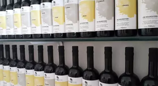 Tariş Zeytinyağı'ndan Gençlere