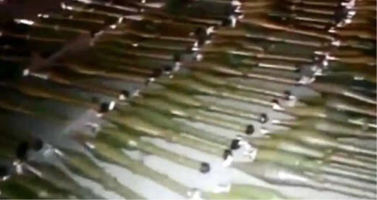 YPG'nin Beli Kırıldı! Bir Kamyon Mühimmat Teröristlere Gitmeden Yakalandı