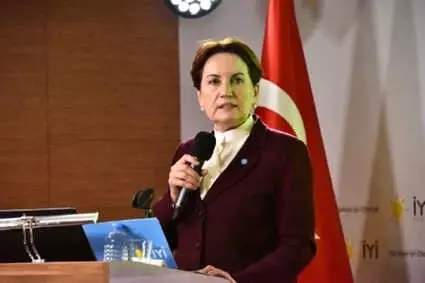 Akşener 'Fetö ve Deaş ile Mücadele Eylem Planı'nı Açıkladı